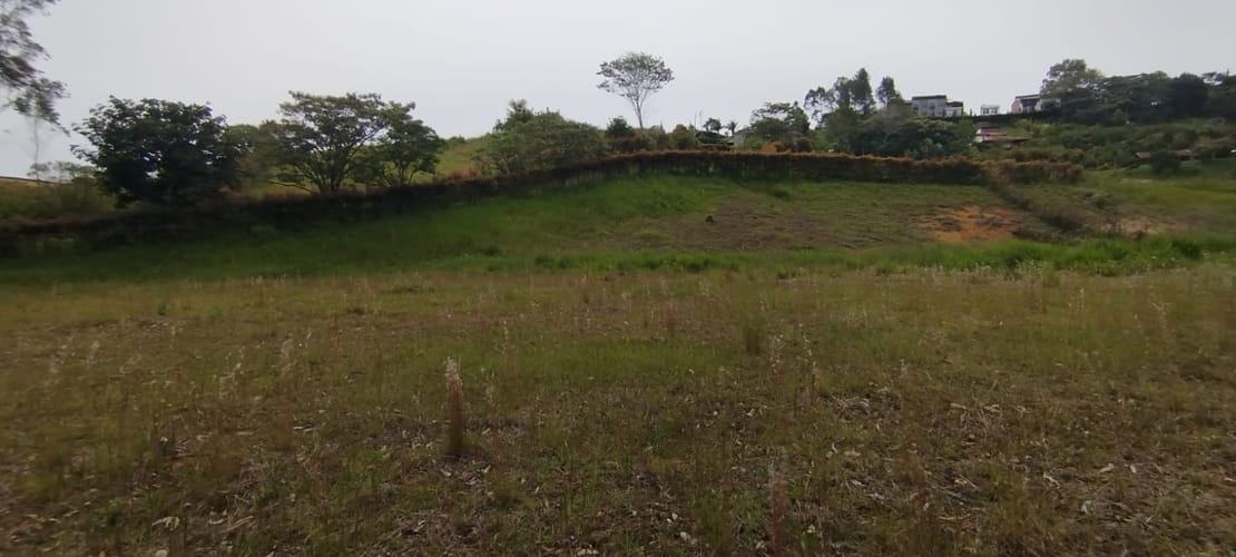 Lote en venta en El Carmen De Viboral, El Carmen de Viboral, 2776 m² · foto 4 de 10