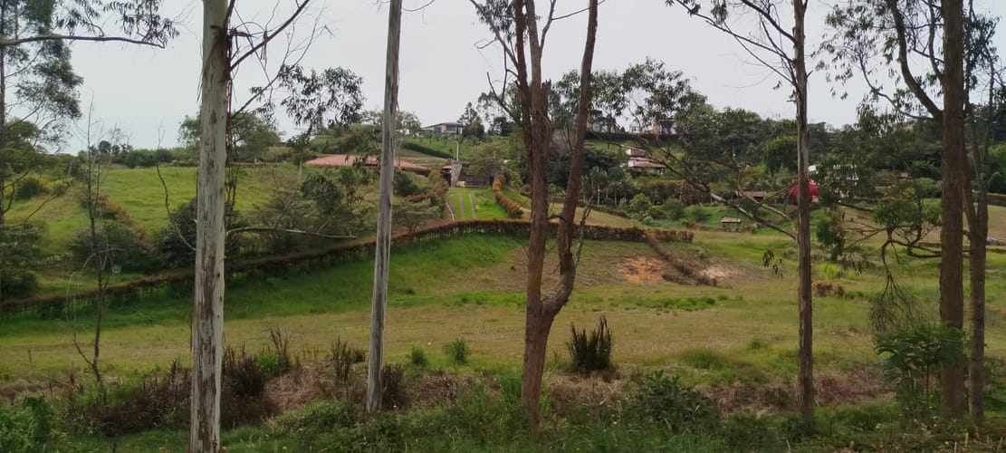 Lote en venta en El Carmen De Viboral, El Carmen de Viboral, 2776 m² · foto 5 de 10