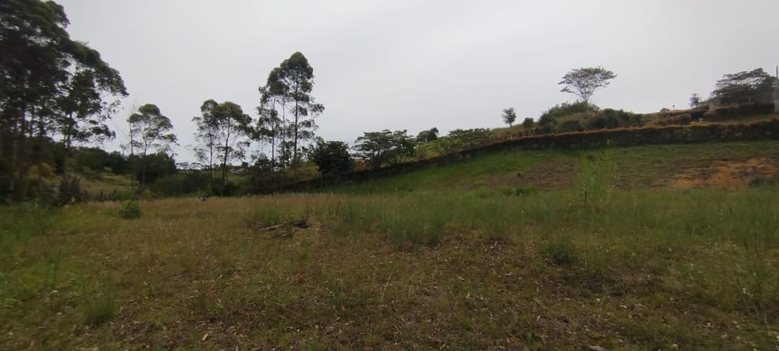 Lote en venta en El Carmen De Viboral, El Carmen de Viboral, 2776 m² · foto 6 de 10