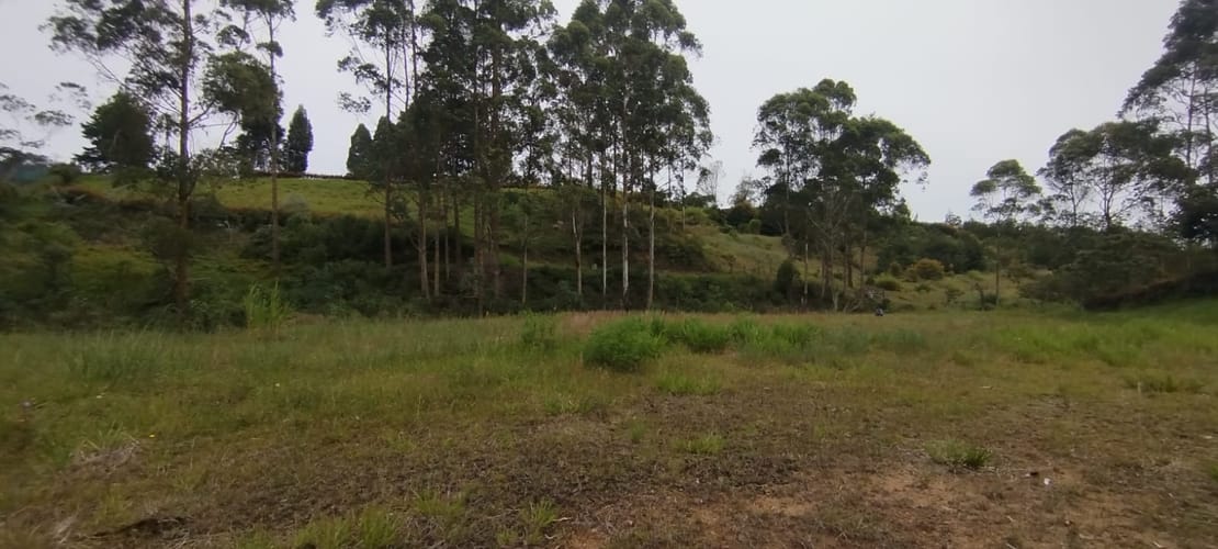 Lote en venta en El Carmen De Viboral, El Carmen de Viboral, 2776 m² · foto 7 de 10