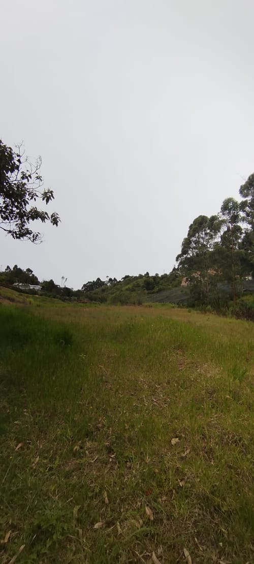 Lote en venta en El Carmen De Viboral, El Carmen de Viboral, 2776 m² · foto 8 de 10