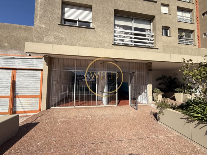 Alquiler Local en Maldonado centro 110 mts · Photo 1