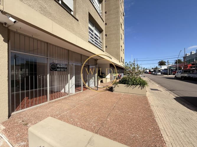 Alquiler Local en Maldonado centro 110 mts · Photo 2