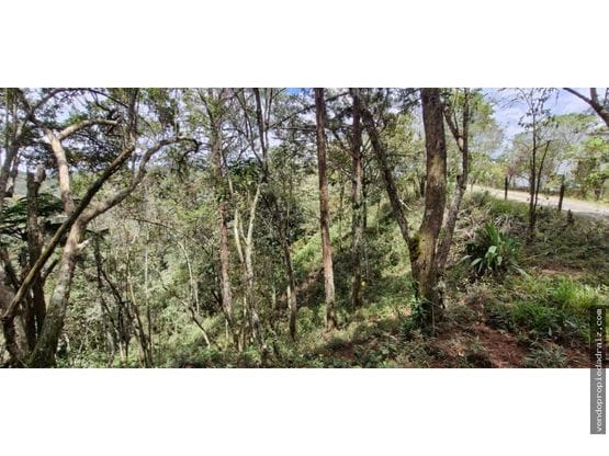 Lote en venta en Los Salados, El Retiro, 6665 m² · foto 3 de 12