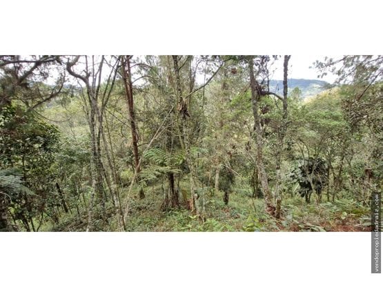 Lote en venta en Los Salados, El Retiro, 6665 m² · foto 6 de 12