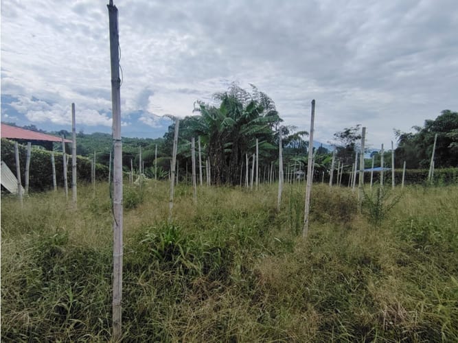 Lote en venta en El Caimo, Armenia, 3200 m² · foto 3 de 4
