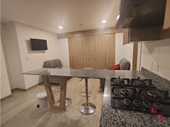 Apartaestudio en arriendo en Villapilar, Manizales, 35 m² · foto 2 de 14