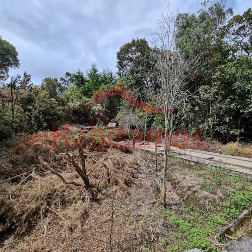 Casa de 10 alcobas en venta en Perico, Envigado, 925 m² · foto 21 de 24