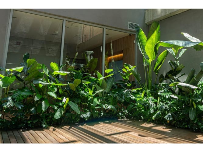Oficina en arriendo en Laureles, Medellín, 240 m² · foto 5 de 19