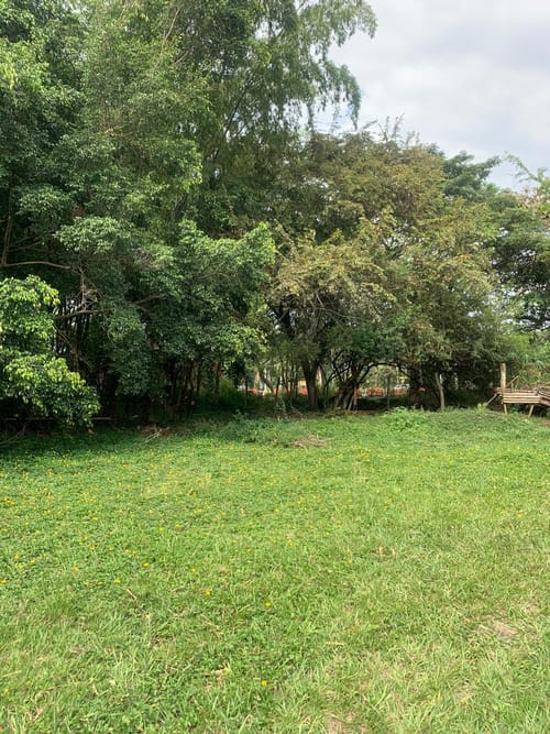 Lote en venta en La Viga, Cali, 5400 m² · foto 3 de 10
