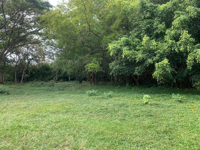 Lote en venta en La Viga, Cali, 5400 m² · foto 4 de 10