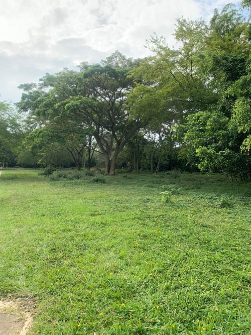 Lote en venta en La Viga, Cali, 5400 m² · foto 6 de 10