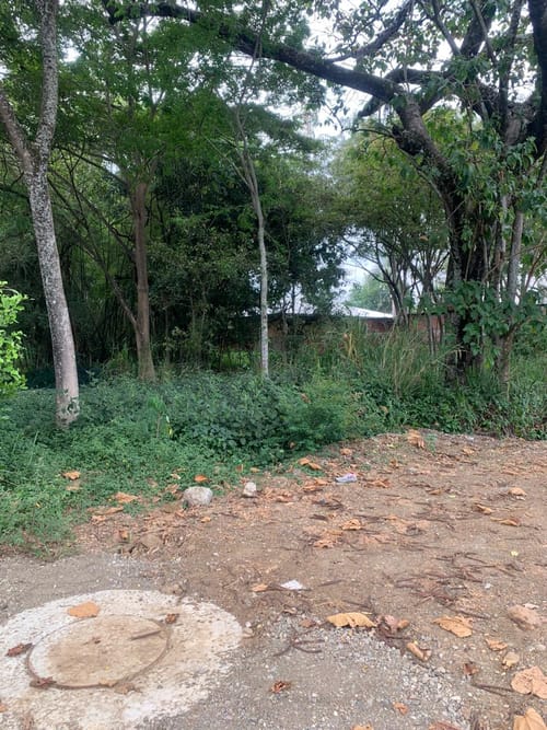 Lote en venta en La Viga, Cali, 5400 m² · foto 7 de 10