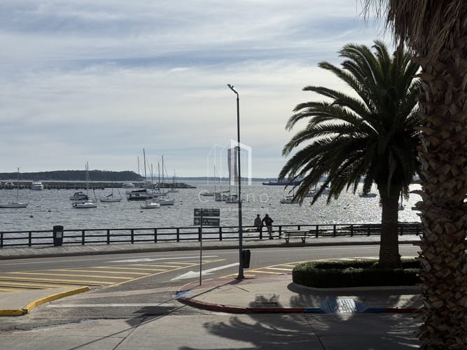 Foto 2 de 20