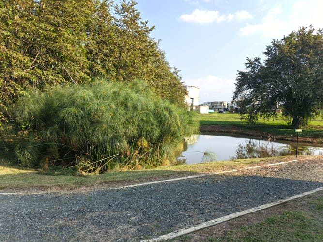 Lote en venta en Las Mercedes, Jamundí · foto 17 de 17