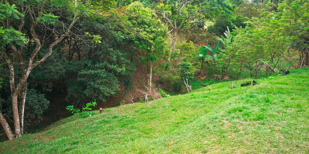 Lote en venta en Porerito, Jamundí · foto 3 de 22