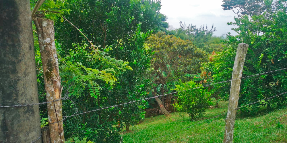 Lote en venta en Porerito, Jamundí · foto 13 de 22
