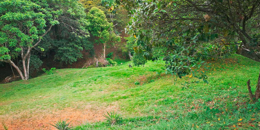Lote en venta en Porerito, Jamundí · foto 14 de 22