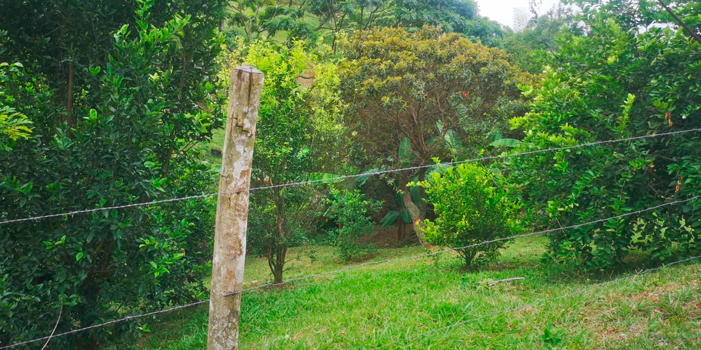 Lote en venta en Porerito, Jamundí · foto 20 de 22