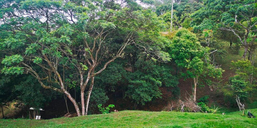 Lote en venta en Porerito, Jamundí · foto 22 de 22