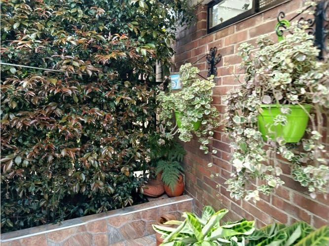 Casa de 3 alcobas en venta en Cota, 159 m² · foto 9 de 22