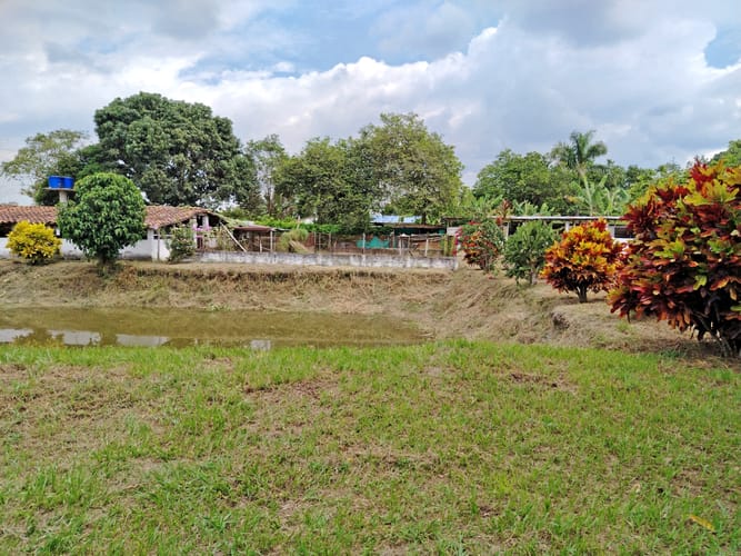 Casa de 5 alcobas en venta en Buchitolo, Candelaria · foto 11 de 15