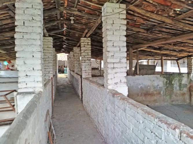 Casa de 5 alcobas en venta en Buchitolo, Candelaria · foto 13 de 15