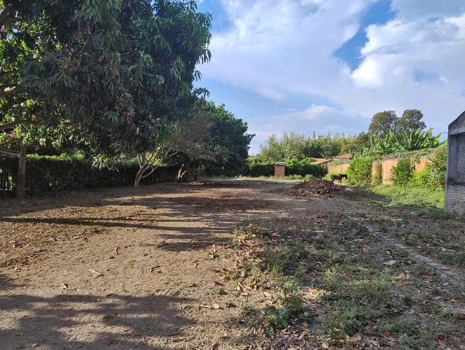 Lote en venta en Rozo, Palmira, 1610 m² · foto 9 de 15