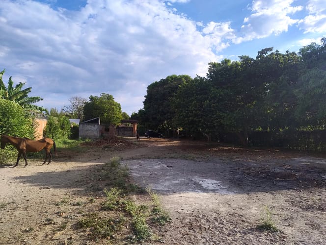 Lote en venta en Rozo, Palmira, 1610 m² · foto 10 de 15