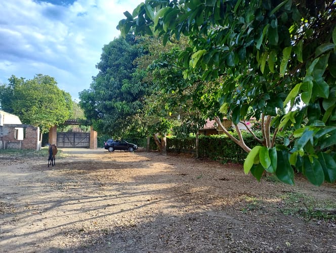 Lote en venta en Rozo, Palmira, 1610 m² · foto 15 de 15