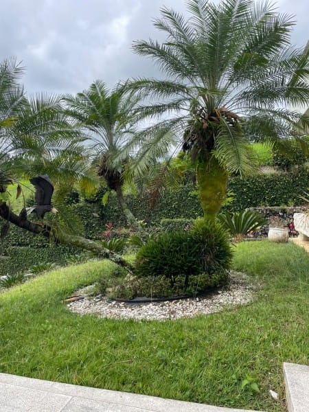 Casa de 5 alcobas en venta en Pance, Cali, 1718 m² · foto 15 de 18