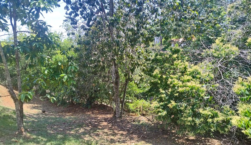 Lote en venta en San Vicente, Jamundí · foto 4 de 24