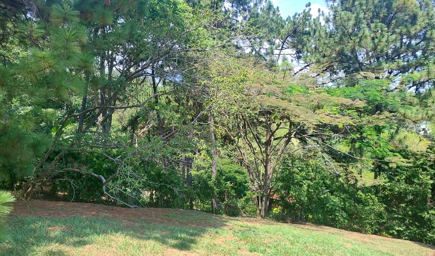 Lote en venta en San Vicente, Jamundí · foto 7 de 24