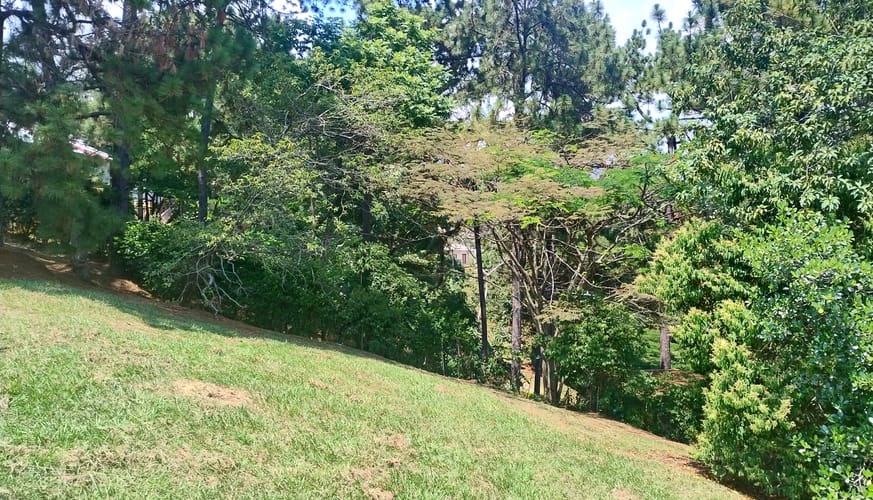 Lote en venta en San Vicente, Jamundí · foto 11 de 24