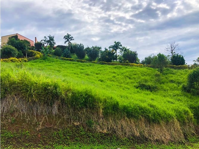 Lote en venta en San Bernardo Del Viento, Manizales, 1833 m² · foto 4 de 8
