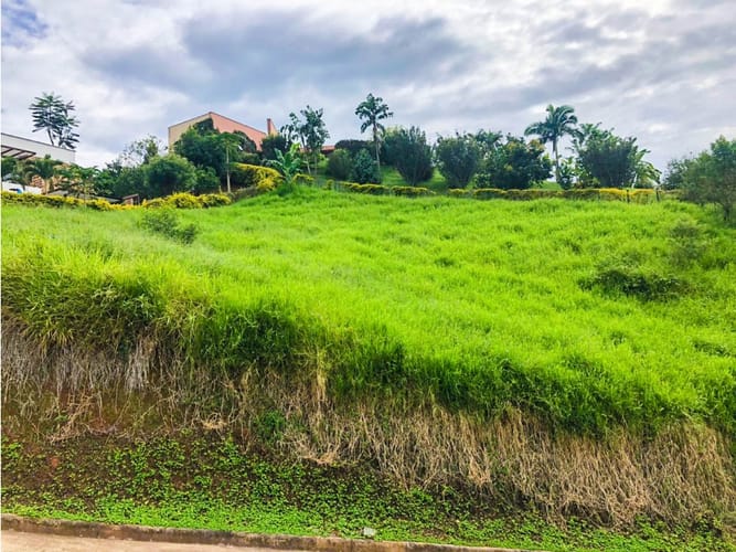 Lote en venta en San Bernardo Del Viento, Manizales, 1833 m² · foto 5 de 8