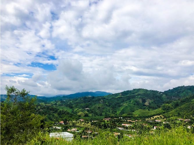 Lote en venta en San Bernardo Del Viento, Manizales, 1833 m² · foto 6 de 8
