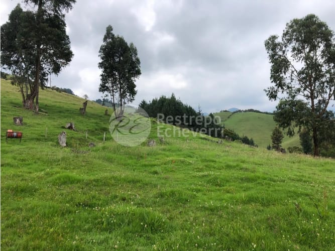 Lote en venta en Malteria, Manizales, 2000 m² · foto 2 de 2