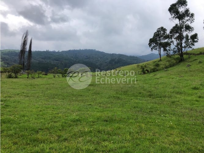 Lote en venta en Malteria, Manizales, 1000 m² · foto 2 de 2