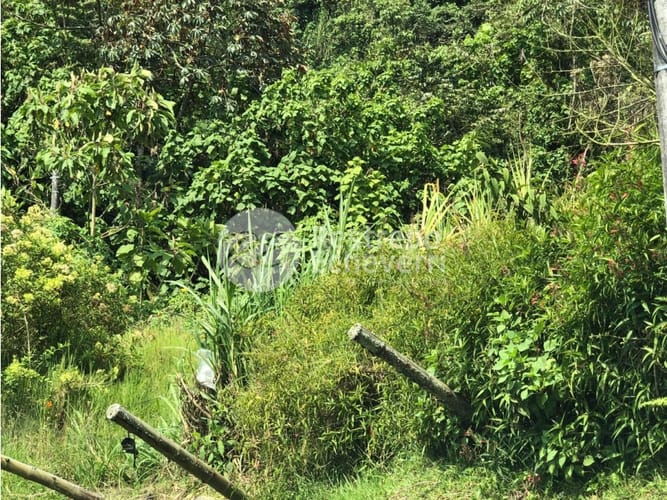 Lote en venta en Estación Uribe, Manizales, 3256 m² · foto 3 de 6