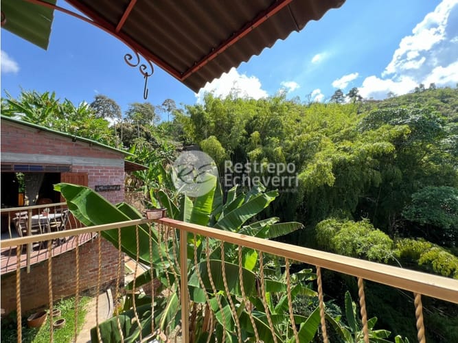 Finca en venta en San Peregrino, Manizales, 379 m² · foto 7 de 24