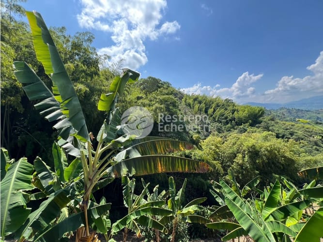 Finca en venta en San Peregrino, Manizales, 379 m² · foto 11 de 24