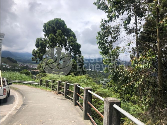 Lote en venta en El Trebol, Manizales, 15837 m² · foto 2 de 18