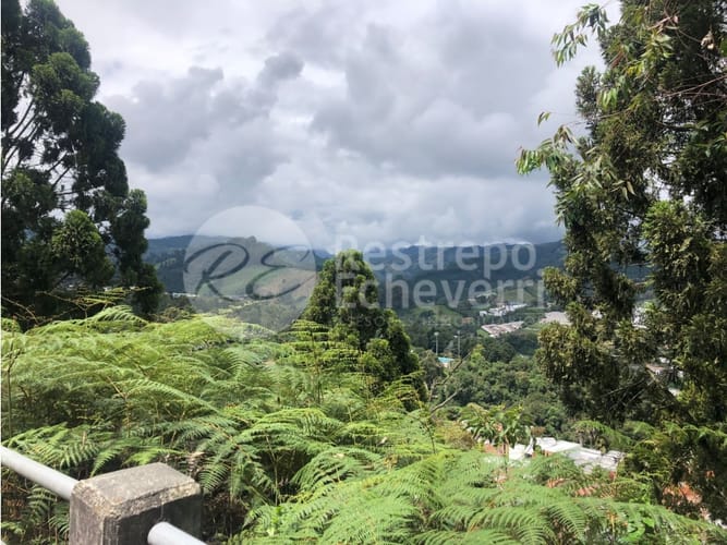 Lote en venta en El Trebol, Manizales, 15837 m² · foto 4 de 18