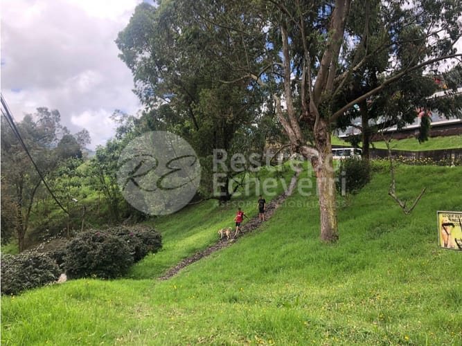 Lote en venta en El Trebol, Manizales, 15837 m² · foto 6 de 18