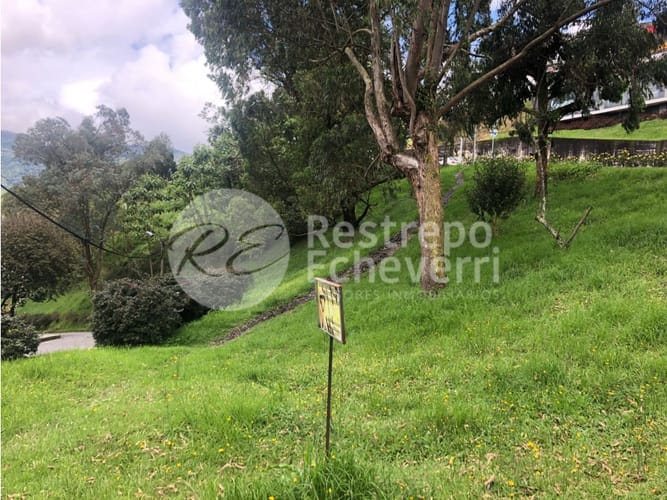 Lote en venta en El Trebol, Manizales, 15837 m² · foto 7 de 18