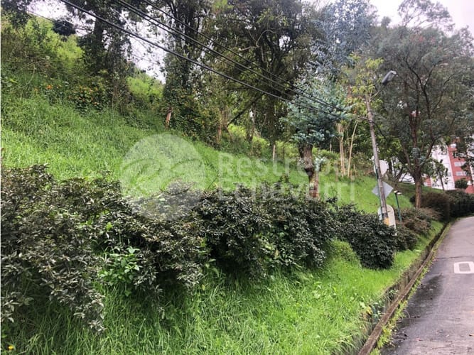 Lote en venta en El Trebol, Manizales, 15837 m² · foto 8 de 18