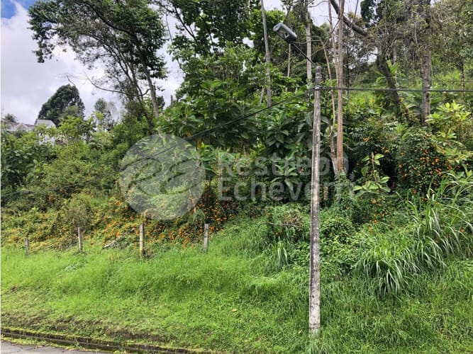 Lote en venta en El Trebol, Manizales, 15837 m² · foto 10 de 18