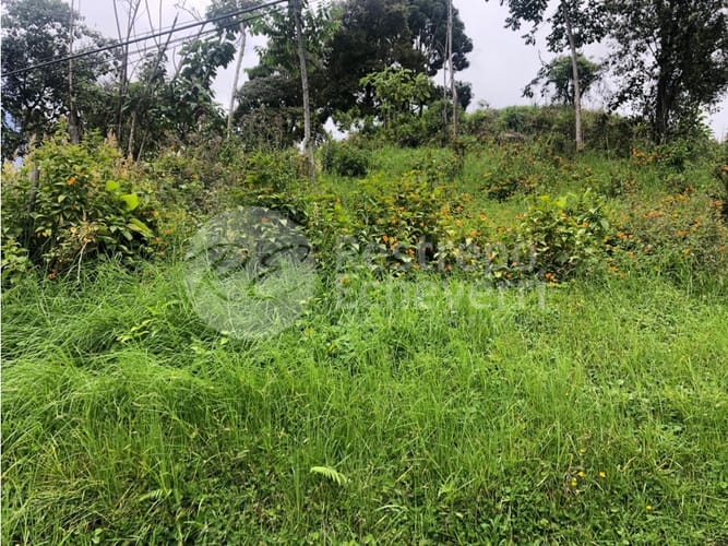 Lote en venta en El Trebol, Manizales, 15837 m² · foto 12 de 18