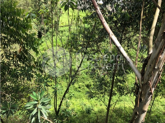 Lote en venta en El Trebol, Manizales, 15837 m² · foto 13 de 18